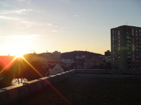 rogg (3)