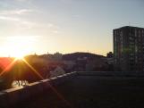 rogg (3)