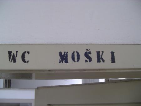 rogg (5)