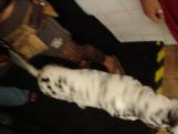 dsc02661