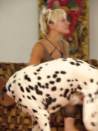 dsc02624