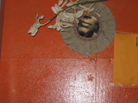 Picture 048