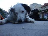 Picture 026