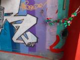 DSCN2619