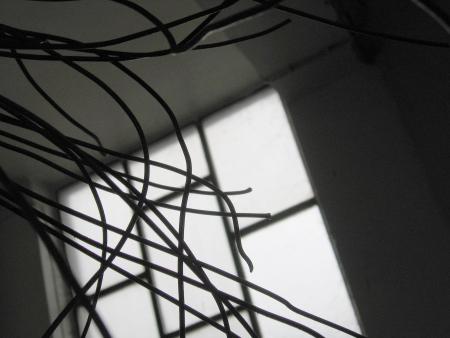 IMG_4162a