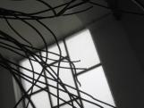 IMG_4162a