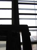 IMG_4195